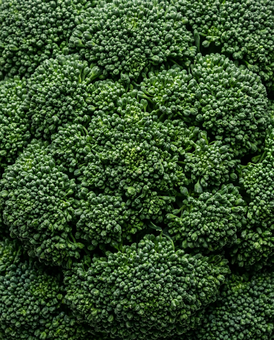 FIBER IS THE PRIMARY FUEL YOUR GUT RUNS ON