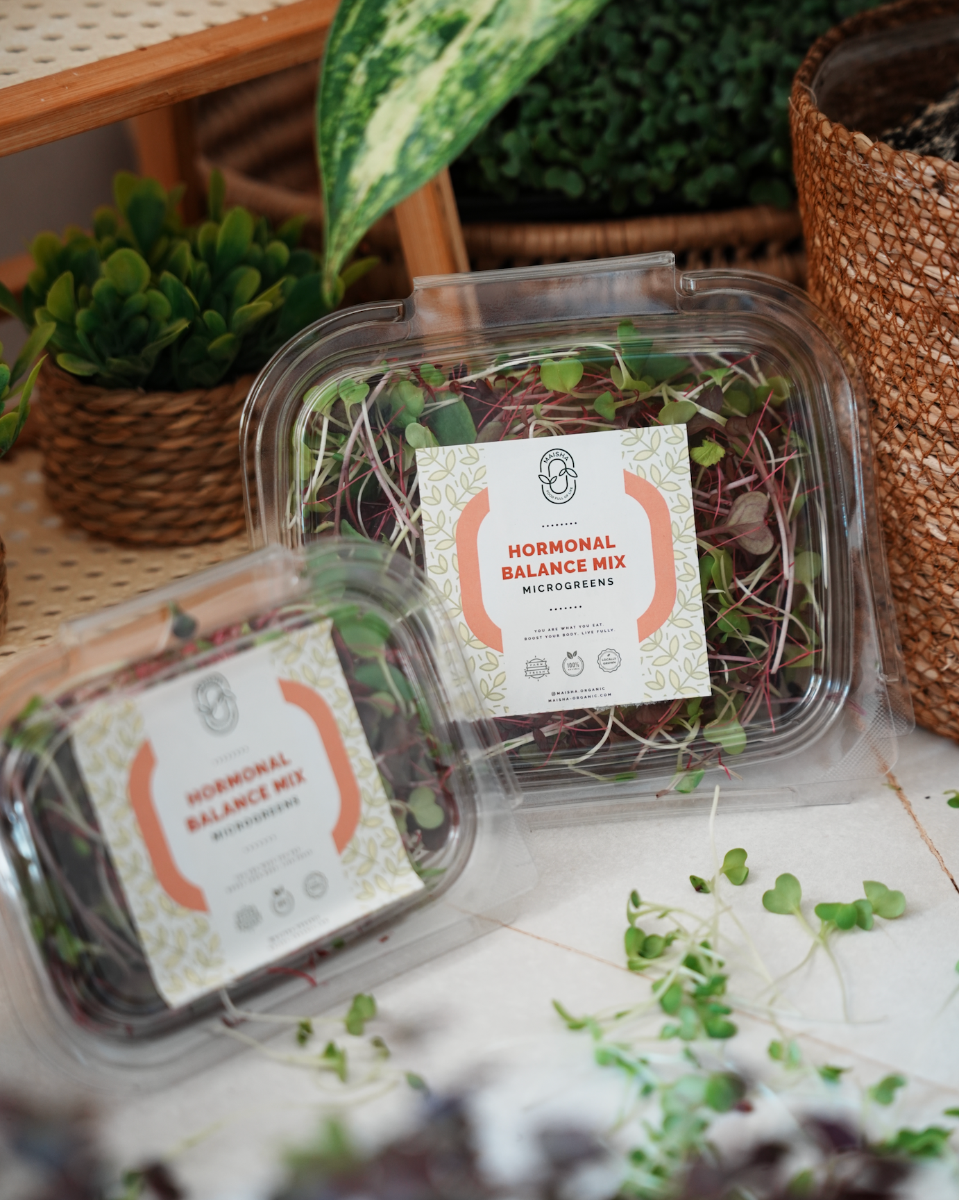 Microgreens Blends