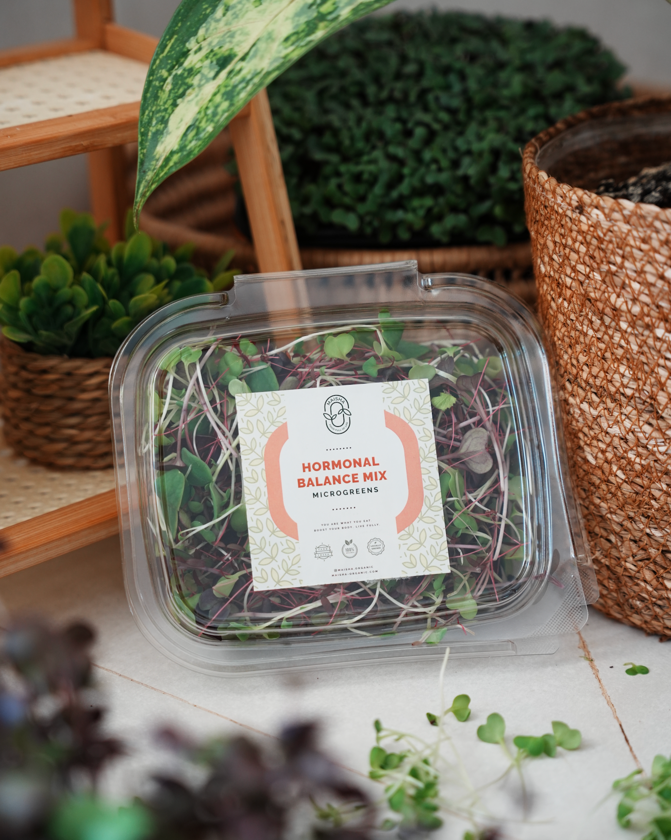 Hormonal Balance Mix